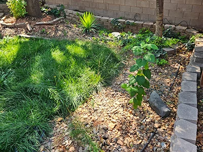 Front yard rock landscaping in St. George, UT