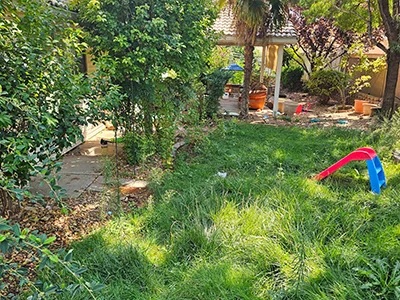 Full yard cleanup in St. George, UT