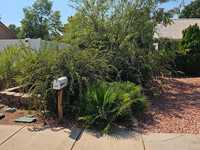 Rock and gravel landscape installation in St. George, UT